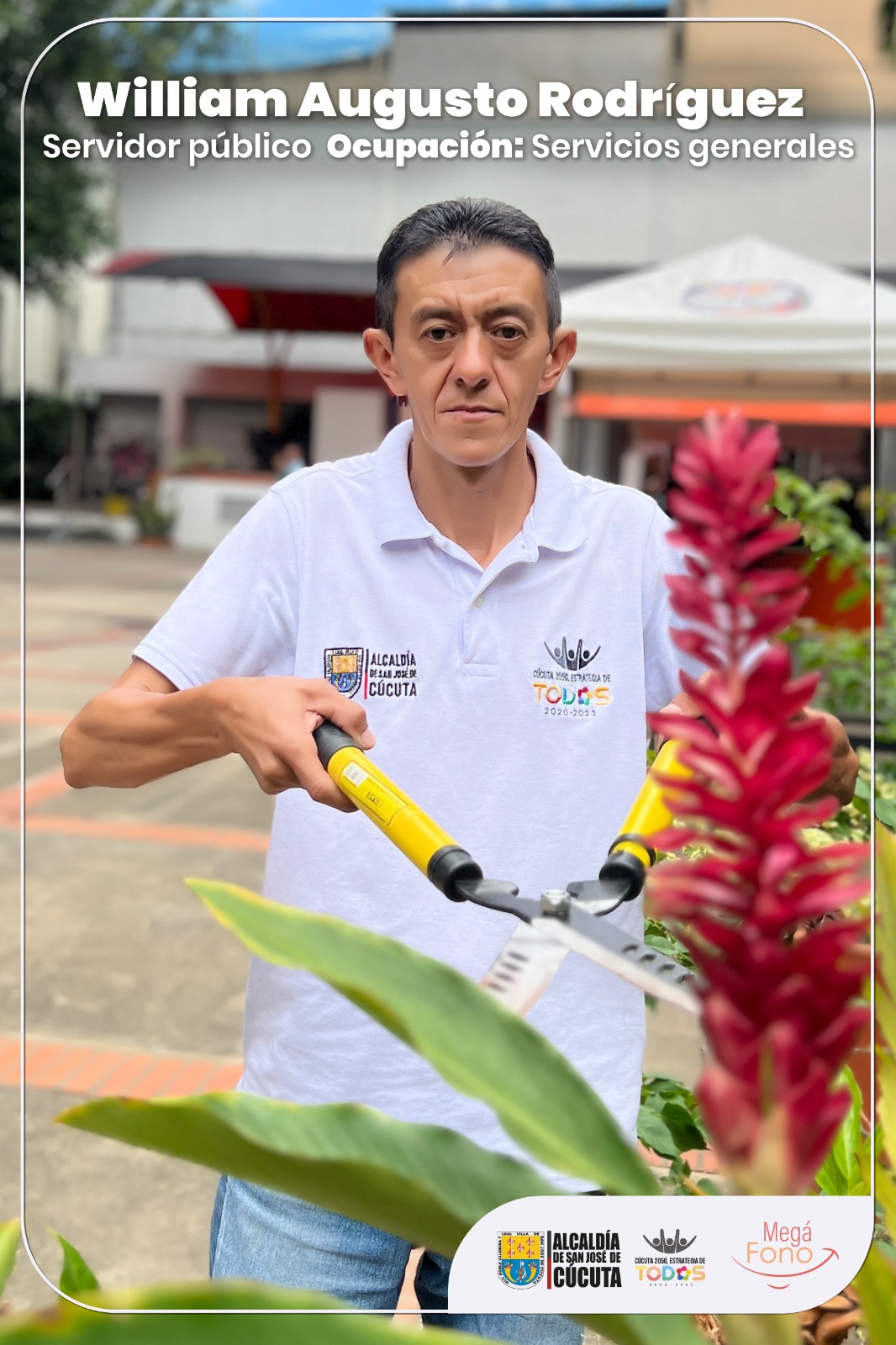 TRABAJOS ANÓNIMOS, RESULTADOS VISIBLES